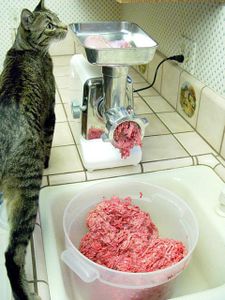 making-cat-food.jpg